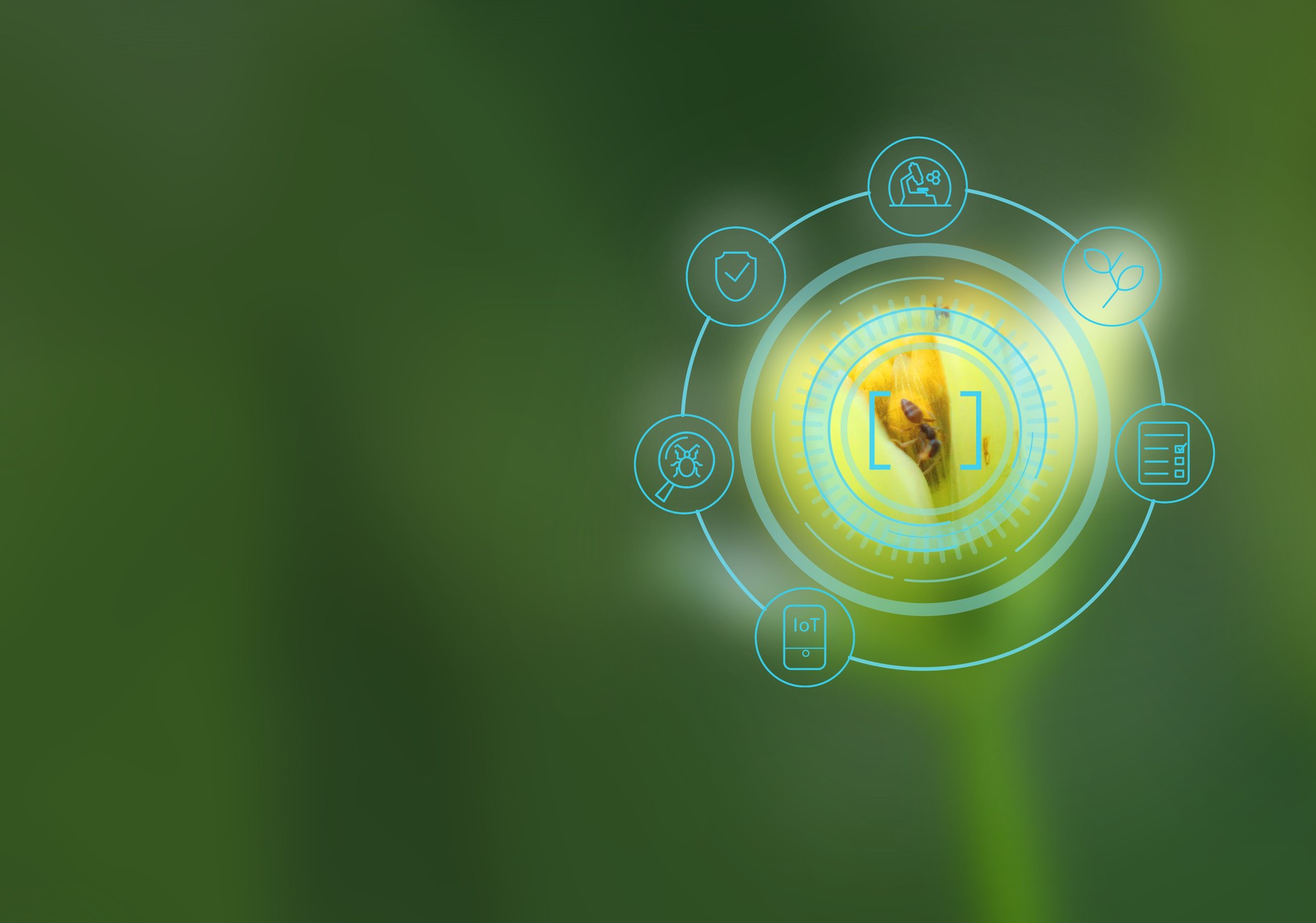 Integrated Pest Management (IPM) combined with IoT enables precise pest control through real-time data